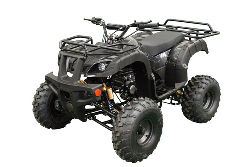 Taotao atv plastic - plastic, bull
